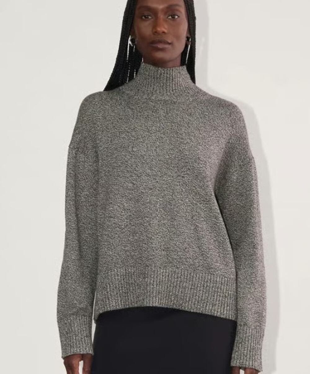 Everlane The Boxy Turtleneck in Everyday Organic Cotton